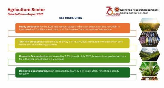 SL’s Paddy Boom: 11.7% Growth in Yala Season